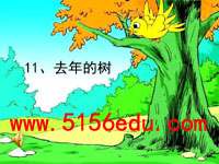 《去年的树》ppt课件4